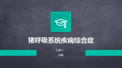 猪呼吸系统疾病综合症