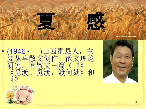 初中七年级上册语文《夏感》PPT优质课件