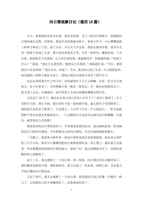 向日葵观察日记精选范文