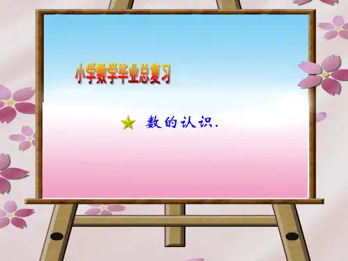 苏教版小学数学六年级下册总复习《数的认识》课件