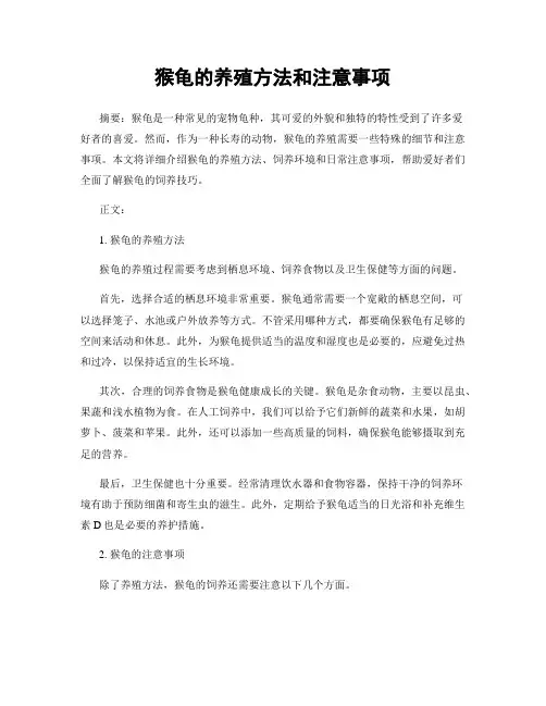 猴龟的养殖方法和注意事项