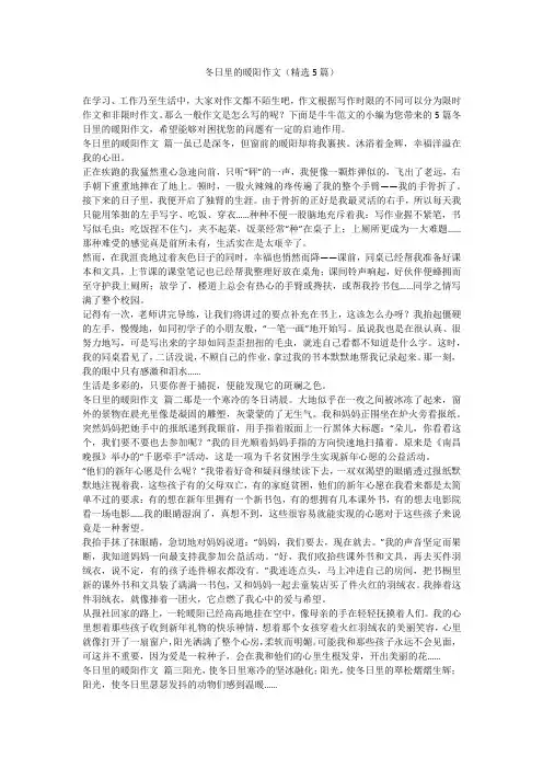 冬日里的暖阳作文(精选5篇)