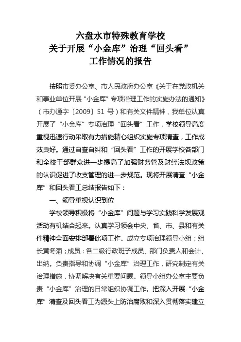 开展“小金库”治理“回头看工作报告