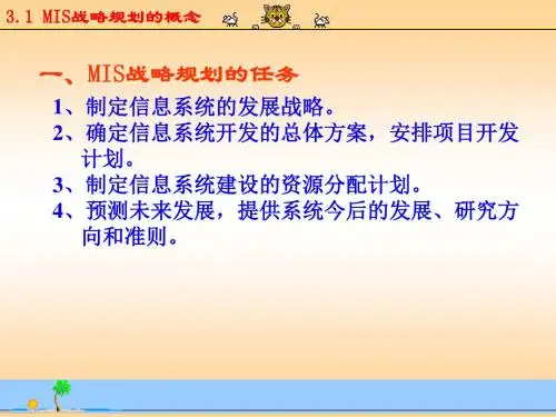 第3章__MIS战略规划与开发方法