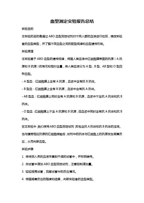 血型测定实验报告总结