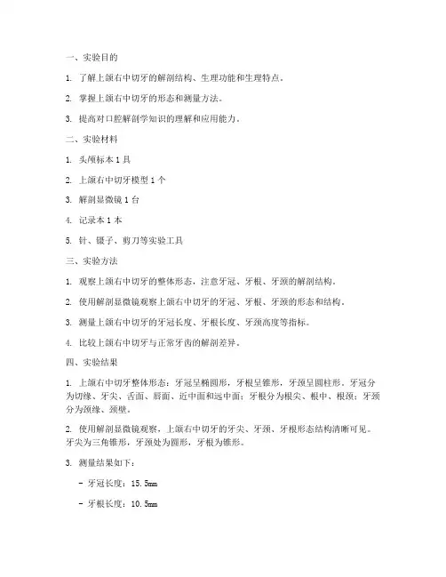上颌右中切牙实验报告