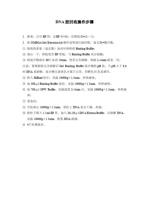 DNA胶回收操作步骤