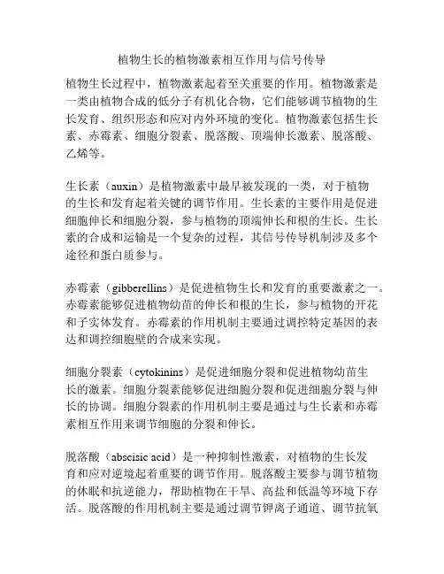 植物生长的植物激素相互作用与信号传导