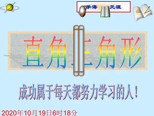 中考数学复习课件：第21讲直角三角形