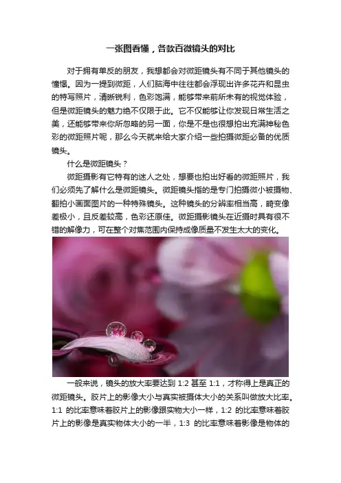 一张图看懂,各款百微镜头的对比