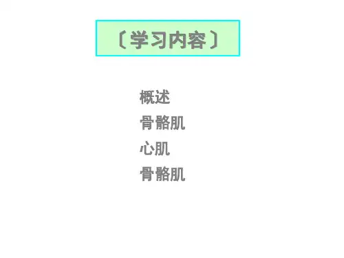组织学与胚胎学第三章肌组织课件