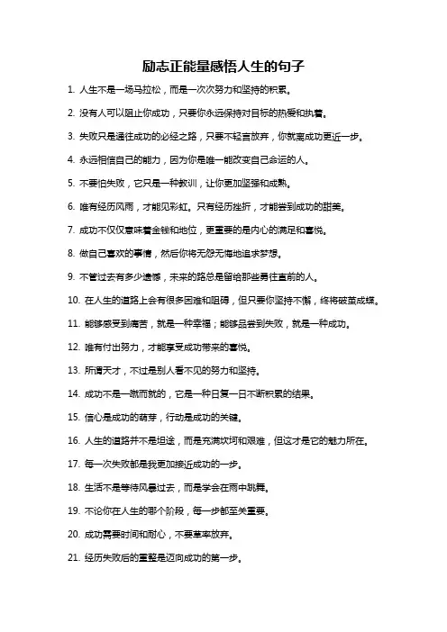 励志正能量感悟人生的句子