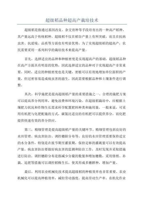 超级稻品种超高产栽培技术
