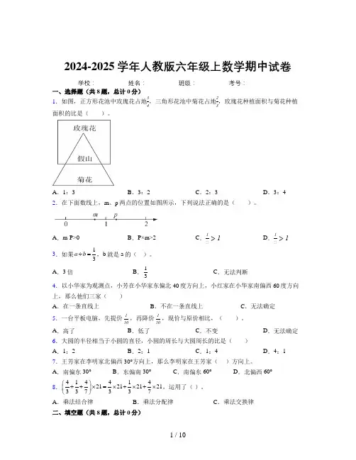 小学数学六年级上册期中易错题重难点试卷含详细答案解析0664