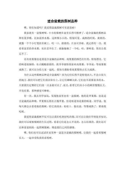 适合盆栽的梨树品种