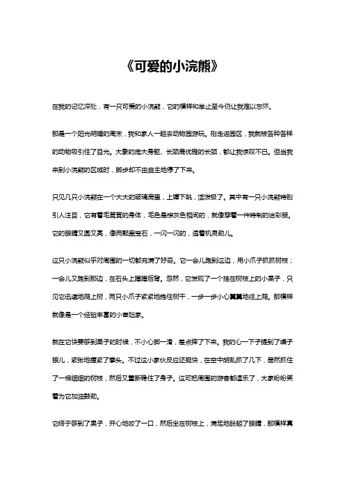 可爱的小浣熊