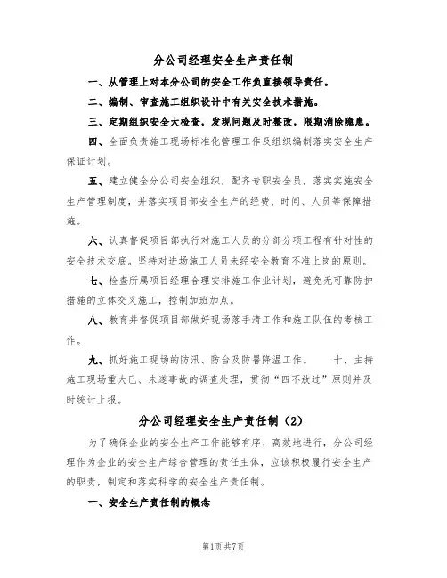 分公司经理安全生产责任制(5篇)