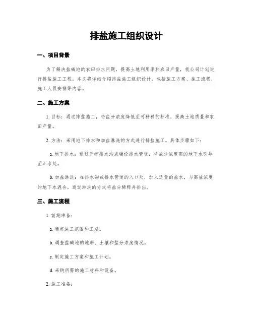 排盐施工组织设计