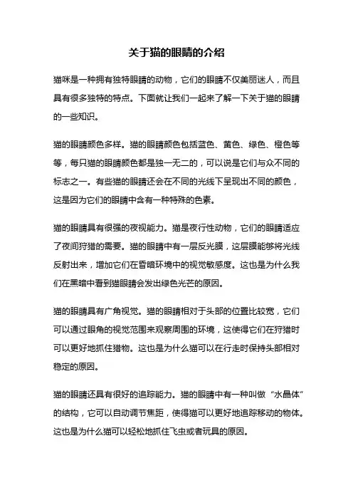 关于猫的眼睛的介绍
