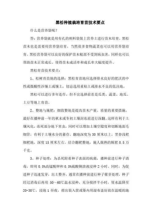 黑松种植栽培育苗技术要点