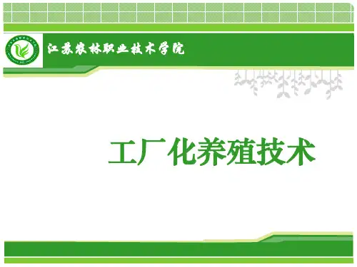 工厂化高效养殖技术方案