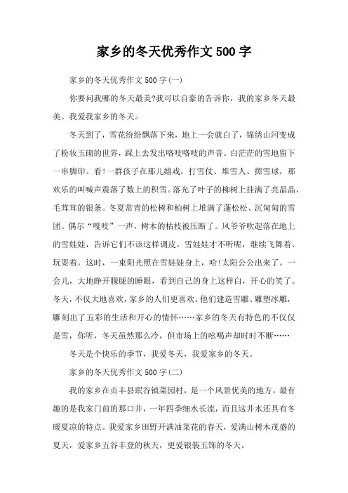 家乡的冬天优秀作文500字
