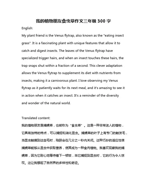 我的植物朋友食虫草作文三年级300字