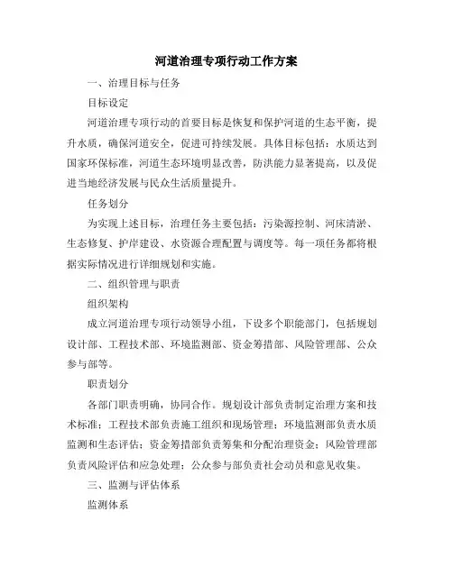 河道治理专项行动工作方案
