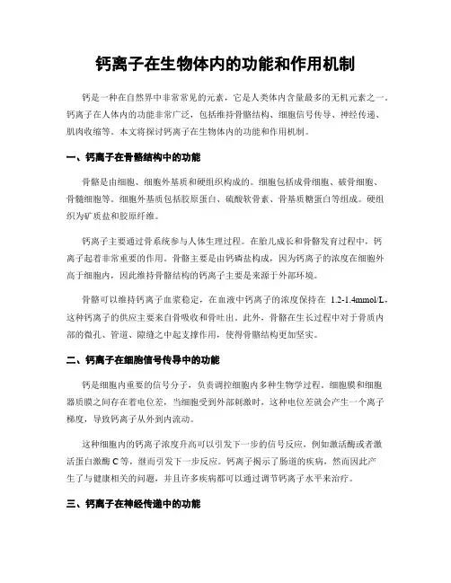 钙离子在生物体内的功能和作用机制