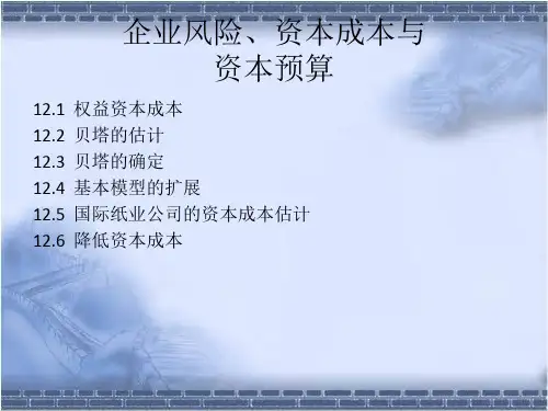 精品课件--企业风险、资本成本与资本预算 