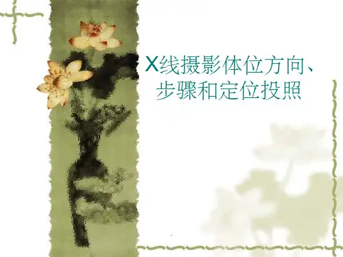 X线摄影体位方向