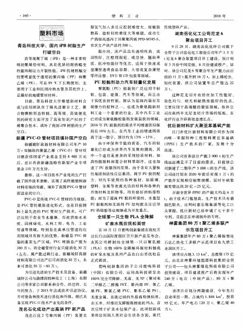 湖南岳化化工公司尼龙6聚合项目开工
