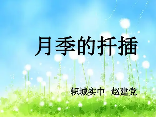 月季的扦插--生物综合实践课