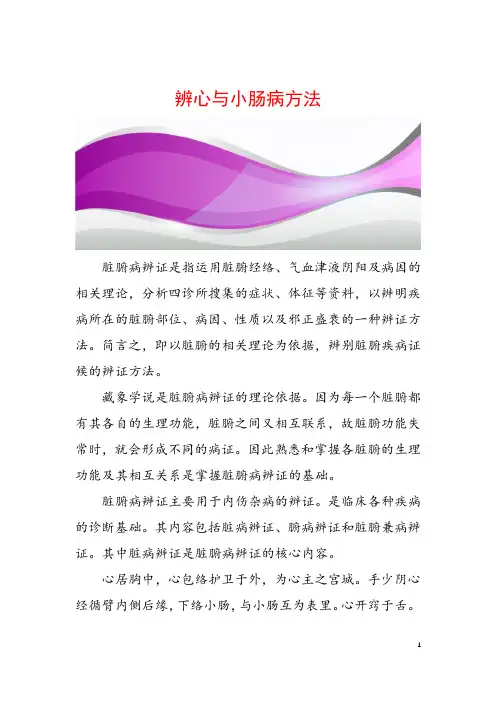 辨心与小肠病方法
