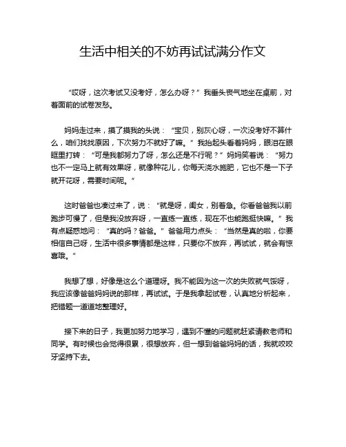 生活中相关的不妨再试试满分作文