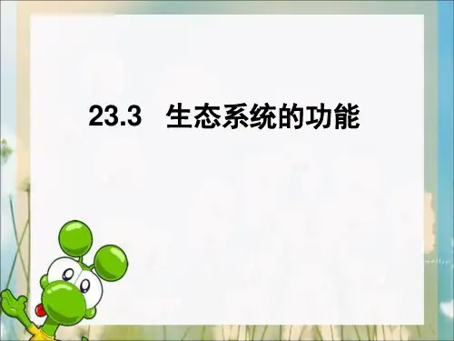 北师大版生物八下23.3《生态系统的功能》讲课课件(共24张PPT)
