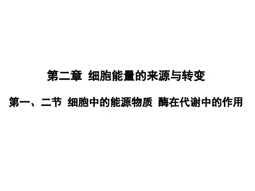 高考生物一轮复习 第3单元 3-2-1、2细胞中的能源物质 酶在代谢中的作用课件 中国版必修1
