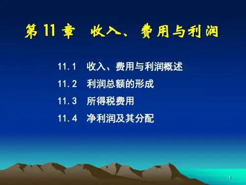 第11章 收入、费用和利润