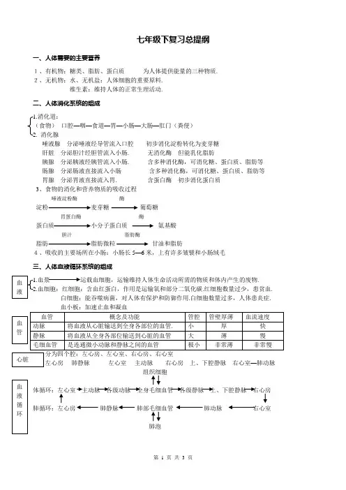 七年级下册复习提纲(精)
