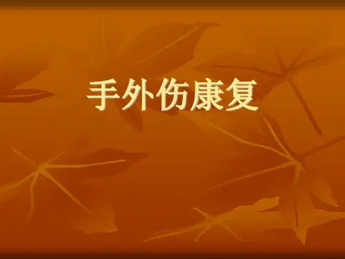 手外伤康复 (1)