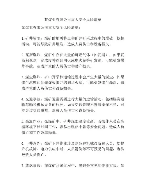 某煤业有限公司重大安全风险清单