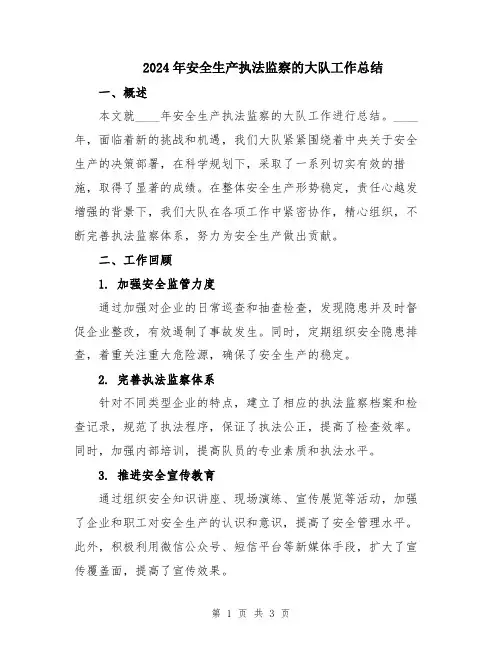 2024年安全生产执法监察的大队工作总结
