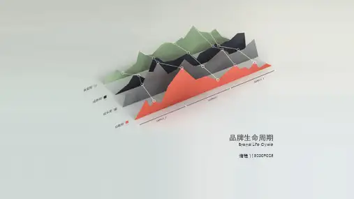 品牌生命周期