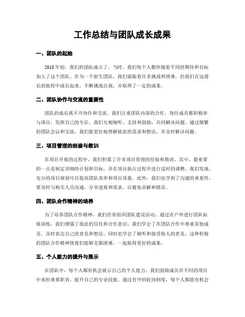 工作总结与团队成长成果