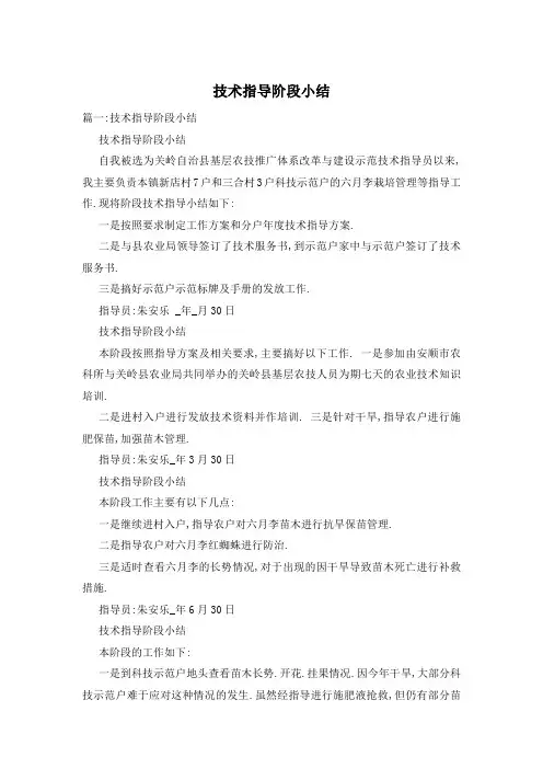 技术指导阶段小结
