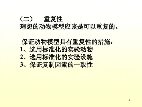 动物模型备课_PPT幻灯片