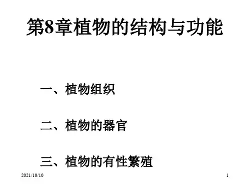 植物的结构与功能【优质PPT】