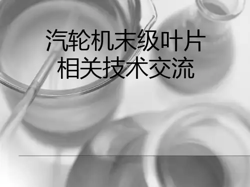 2010-09-13汽轮机末级叶片技术交流