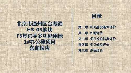 咨询报告PPT