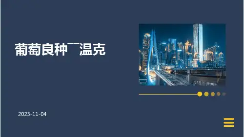 葡萄良种――温克